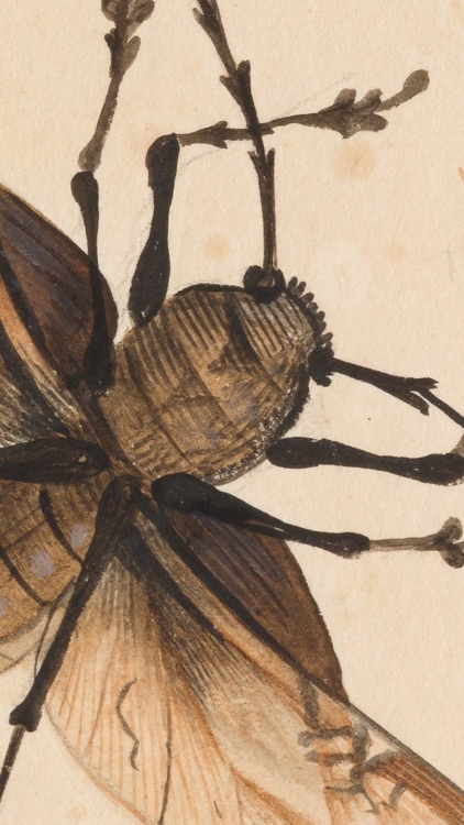 SC Museo Ciencias Naturales screenshot-3