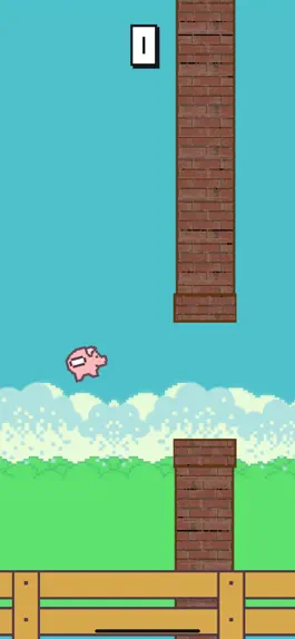 Game screenshot Bouncy Pig - Flappy Wings hack