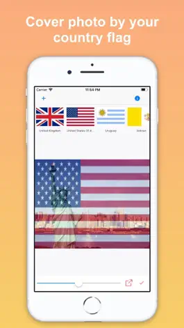 Game screenshot Country Flag Lite mod apk