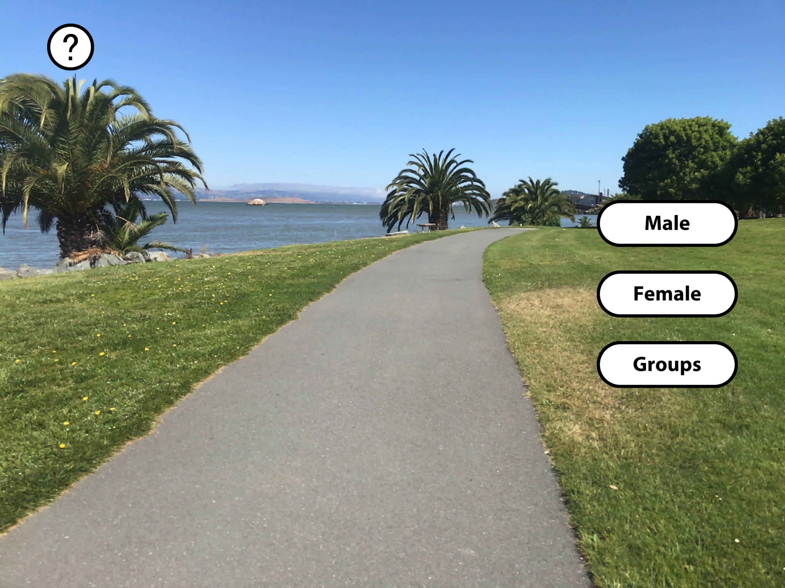 PPP AR-P screenshot 11