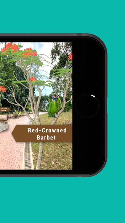 BALIKSG screenshot-7