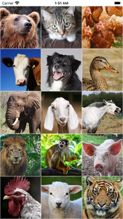 Kid-Friendly Animal Sounds