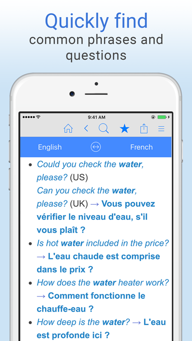 English-French Dictionary. Screenshot