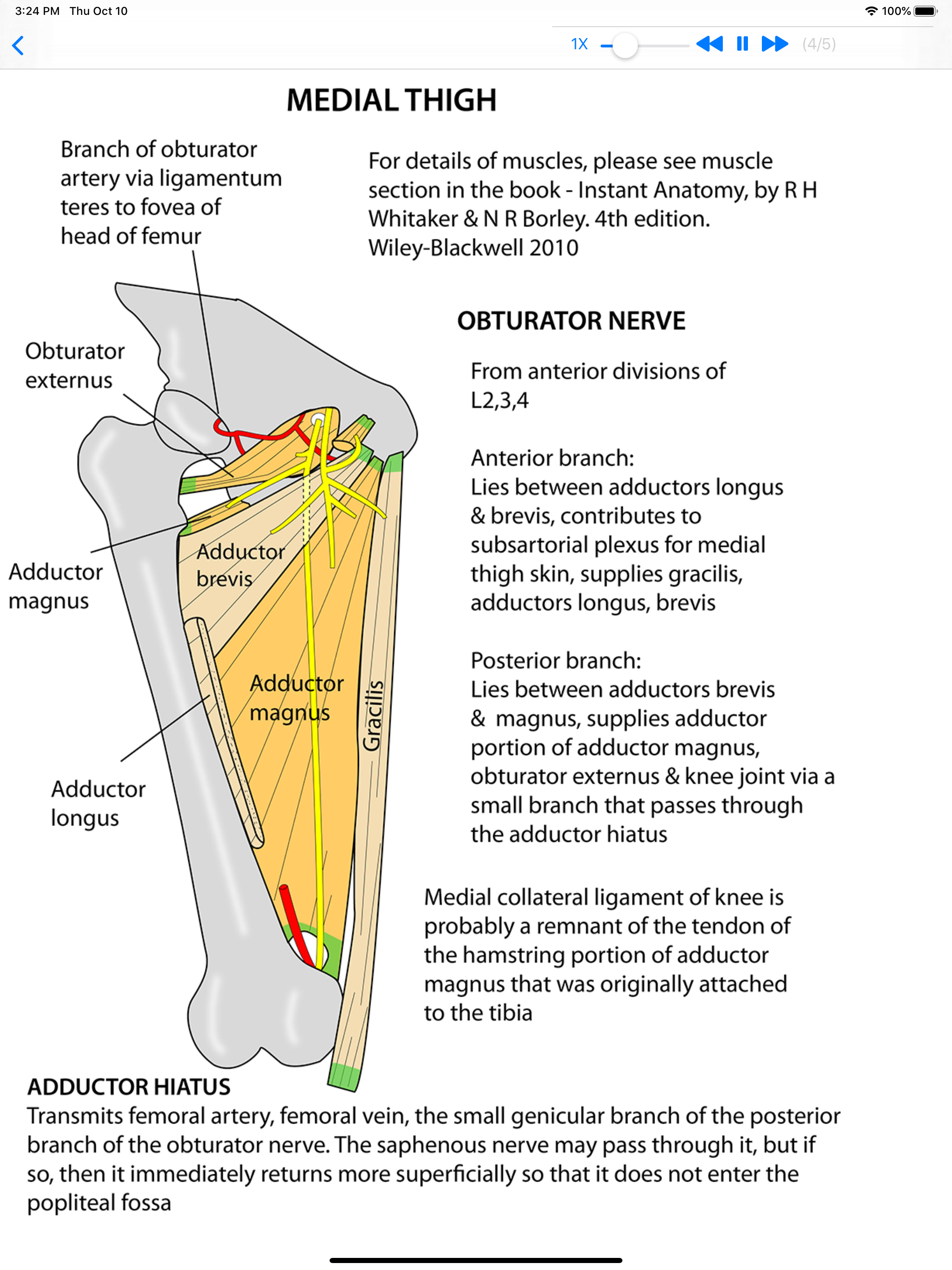Anatomy Lectures Limbs screenshot 10