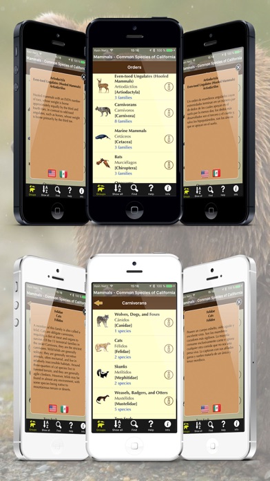 California Mammals Screenshot