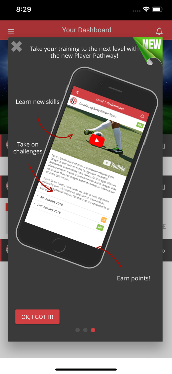 Champion Player Pathway