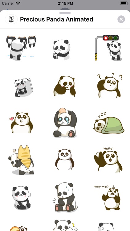 Precious Panda Animated