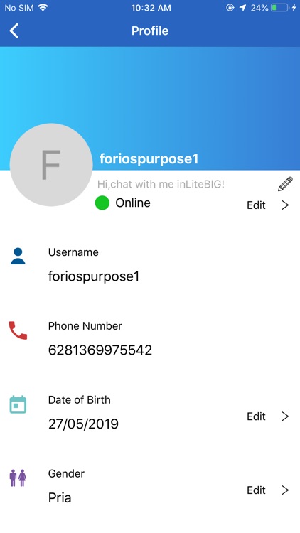 LiteBIG Messenger screenshot-5