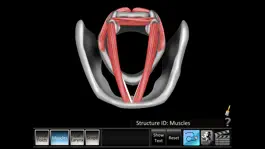 Game screenshot Vocal Folds ID apk