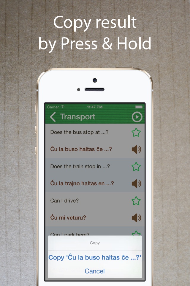 Learn Esperanto Phrasebook Pro screenshot 3