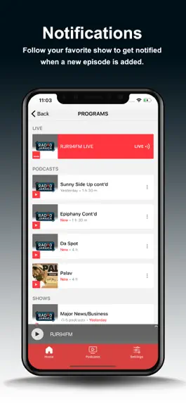 Game screenshot Radio Jamaica 94FM hack