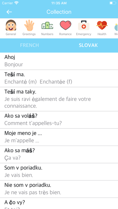 Screenshot #2 pour French Slovak Dictionary