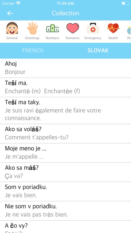 French Slovak Dictionary