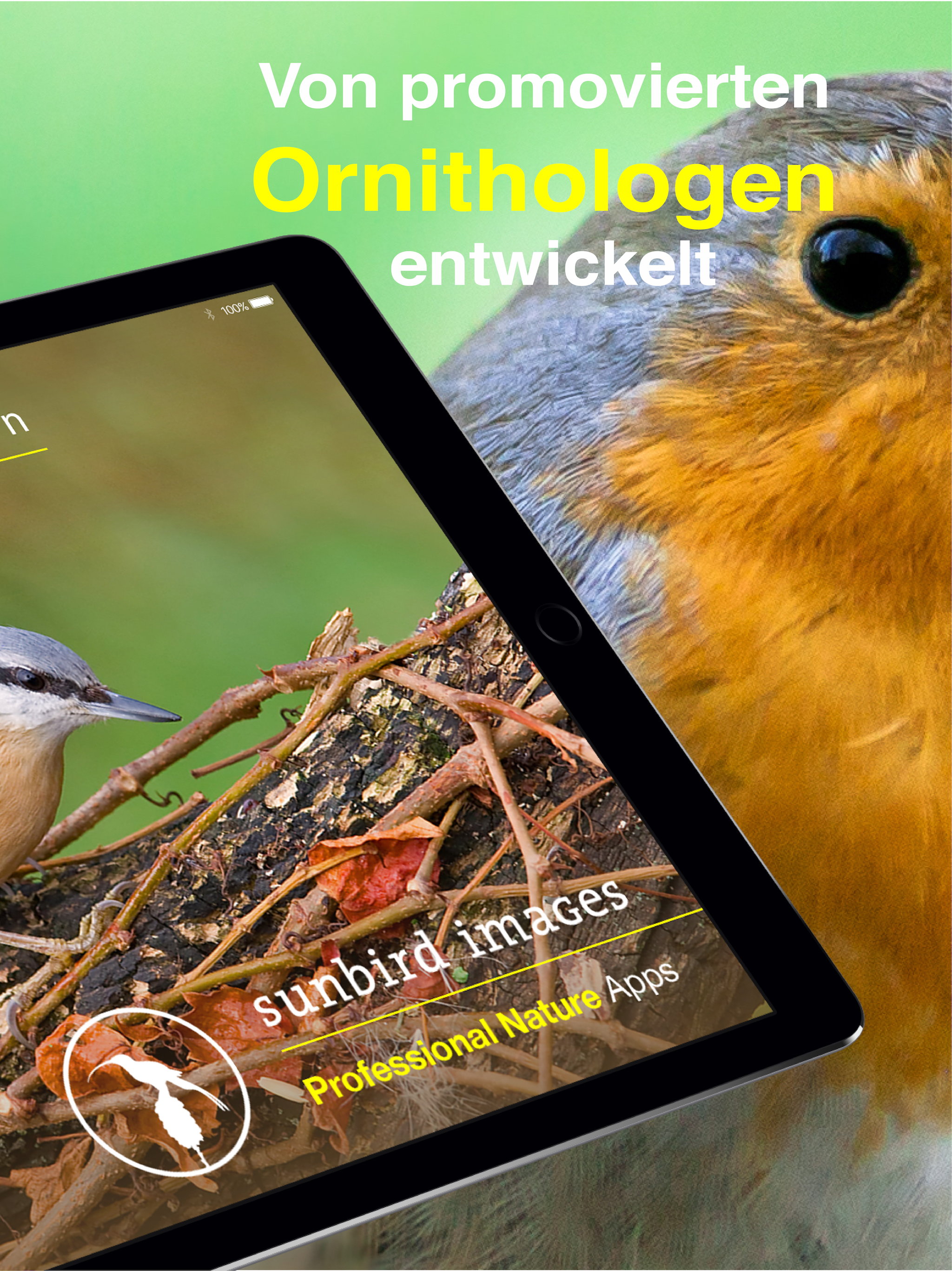 Bird Id - Garden Birds Germany