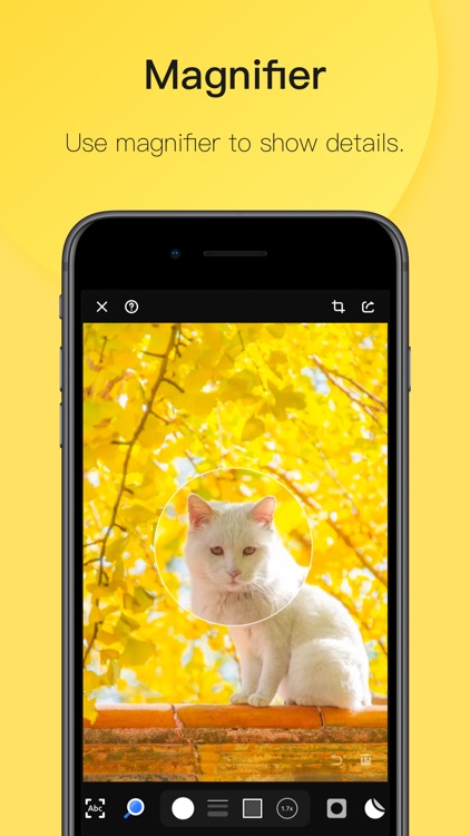 Piiico · Image Annotation screenshot-3