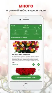 Цветы и подарки | Анапа iphone screenshot 1