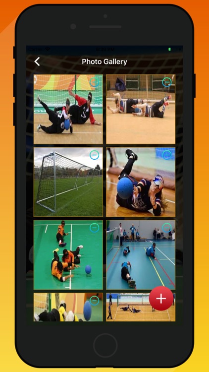 GoalBall Court Manager