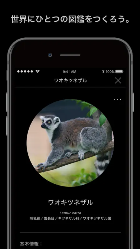 LINNÉ LENS - かざすAI図鑑 screenshot 6 of 6