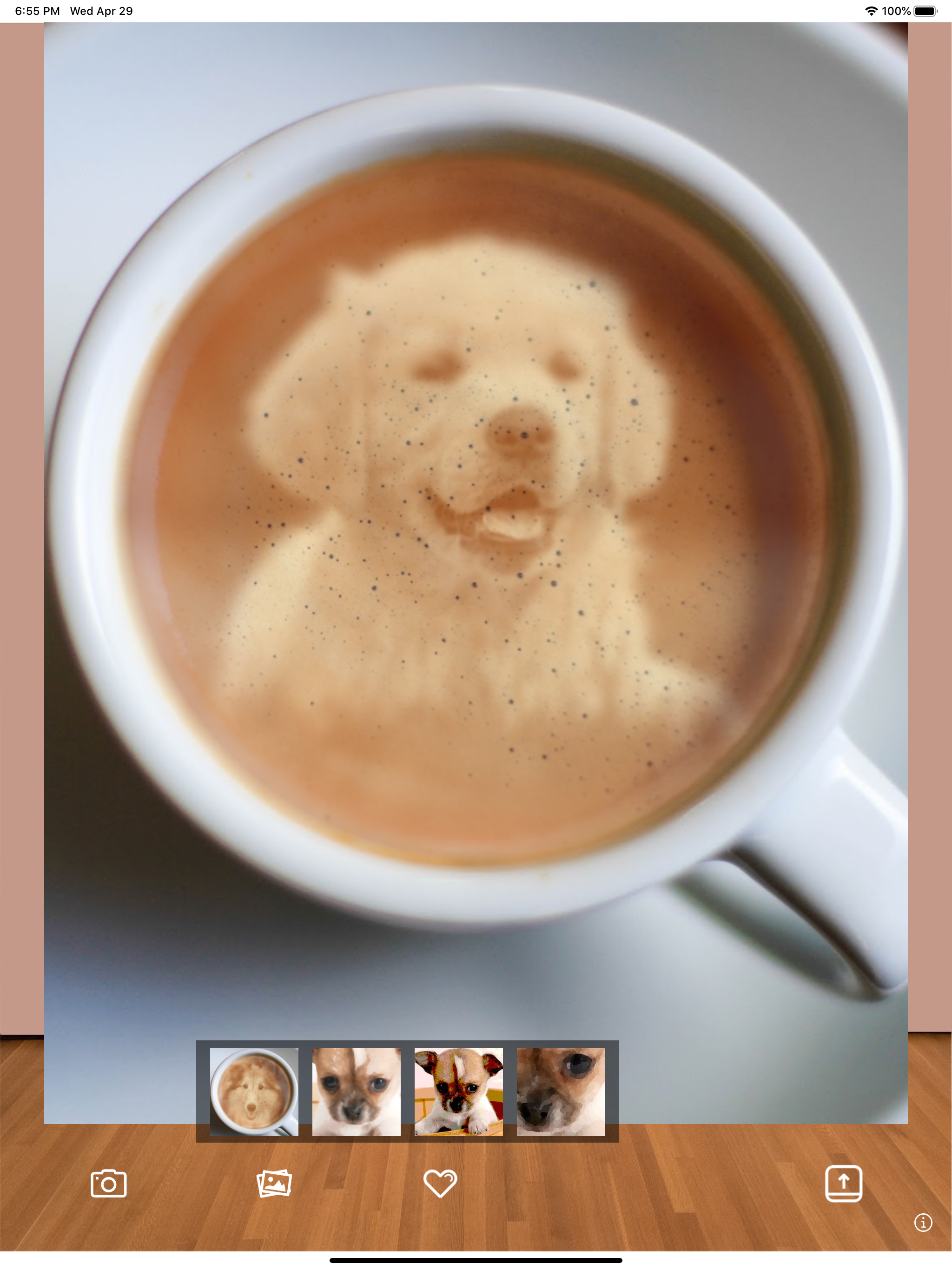 Pet Camera: Great Pet Photos