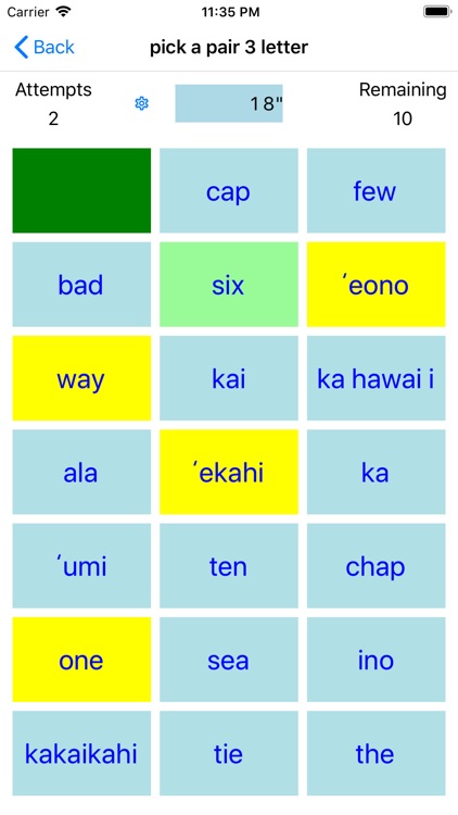 PickAPair Hawaiian - English