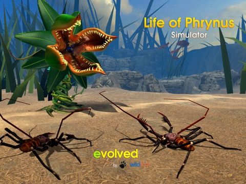 Life of Phrynus - Whip Spiderのおすすめ画像3