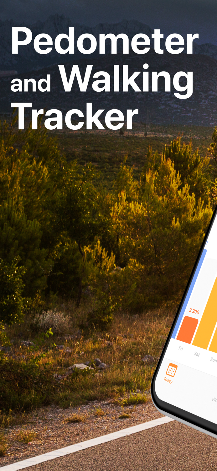 Walking Step Counter