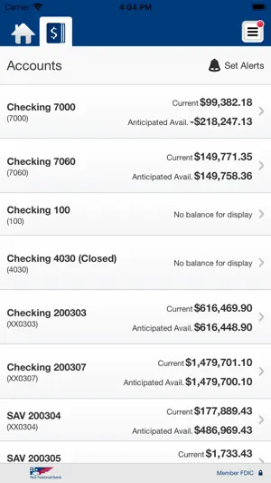 FNB Business screenshot 4