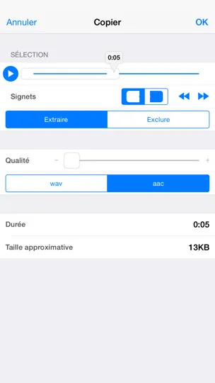 Capture d'écran de Audio Memos sur iPhone 3