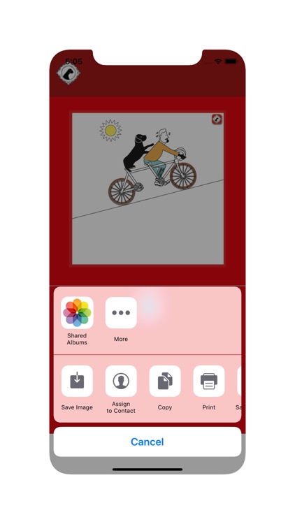 deCard App screenshot-4