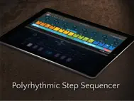 Rozeta Sequencer Suite ipad bilder 3