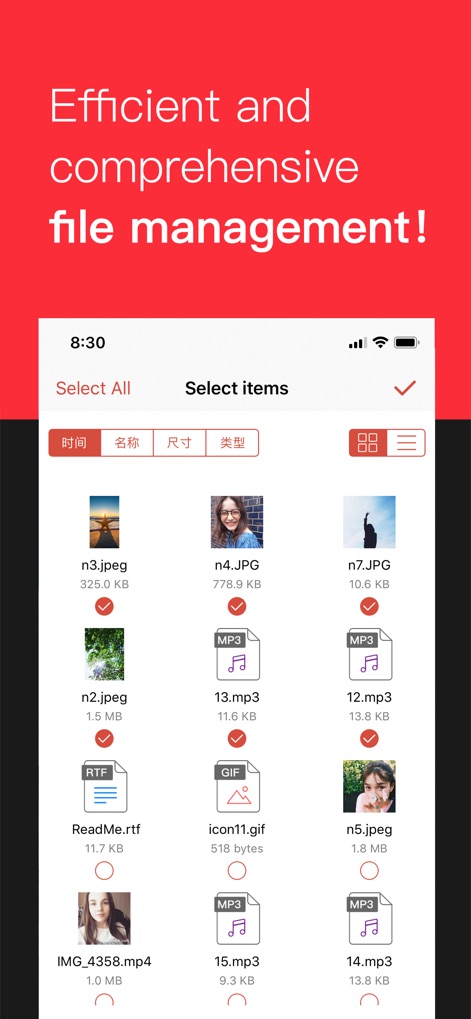 iConv - Video & PDF Converter - The tool facilitates comprehensive file organization with options for batch selection and a clear, sortable list view for diverse media and documents.