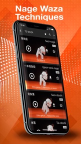 Judokai screenshot