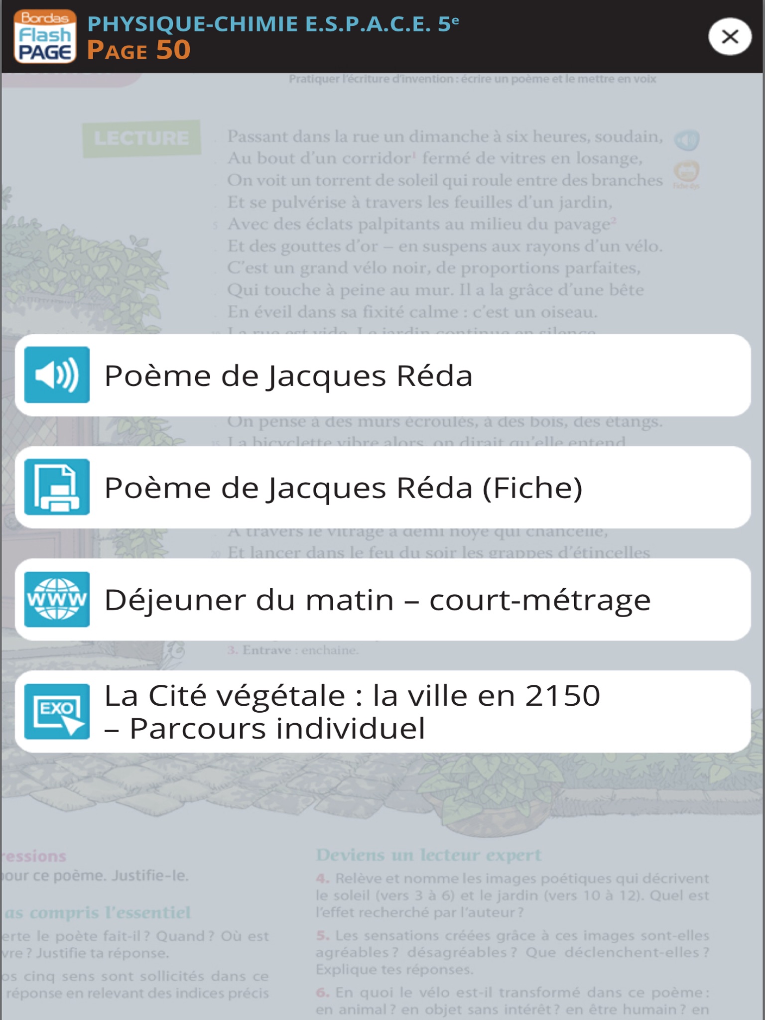 Bordas FlashPage screenshot 3