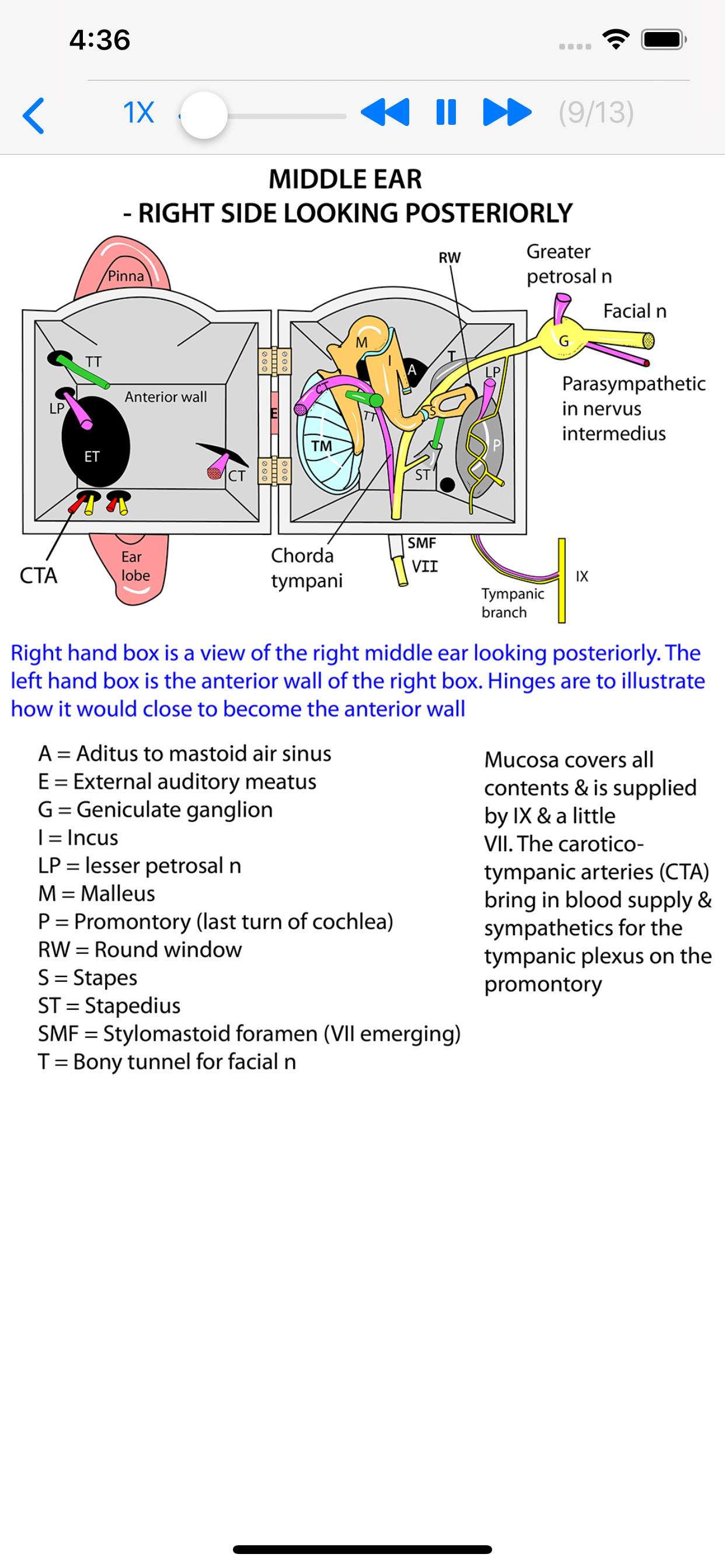 Instant Anatomy Anthology