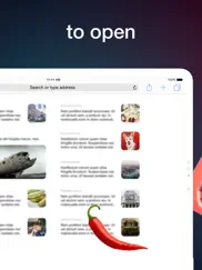 accessbrowser iPad Captures Décran 2