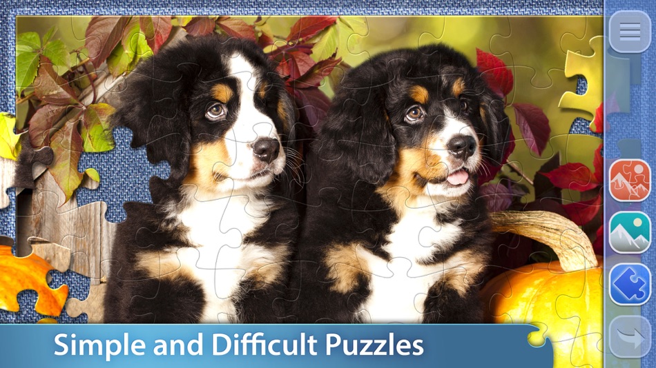 #4. Jigsaw Puzzle Club for Adults (iOS) By: Primerose Solutions LLP