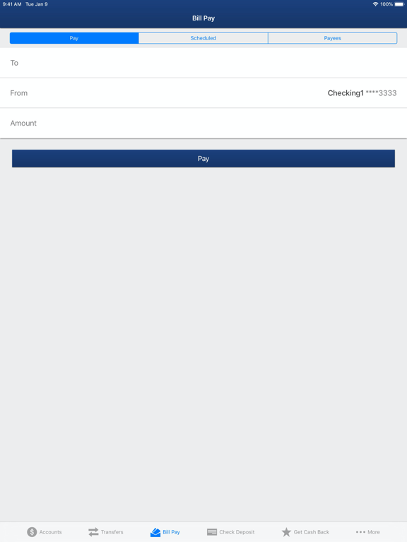 NECB-Mobile iPad screenshot 5 - Finance app