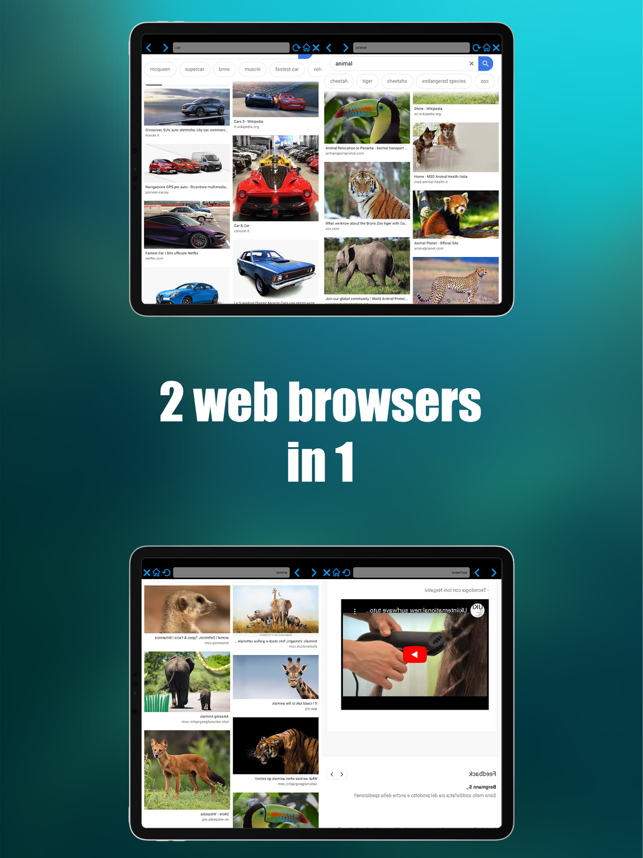 ‎Double browser Pro 2 in 1 Screenshot