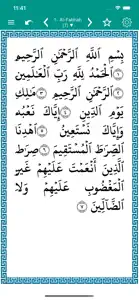 alTafsir - Quran Tafsirs screenshot #7 for iPhone