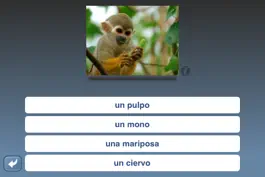 Game screenshot NounStar Language Study Mobile hack