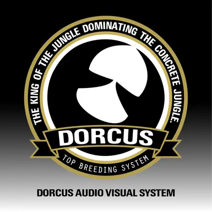 DORCUS AUDIO VISUAL SYSTEM Cheats