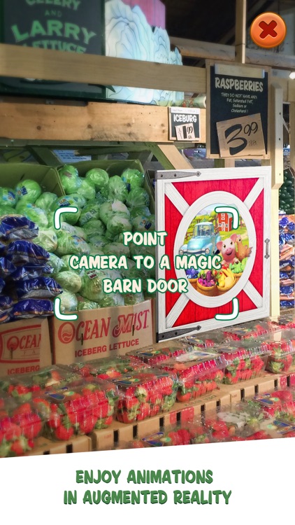 Stew Leonard's Magic Barn Door