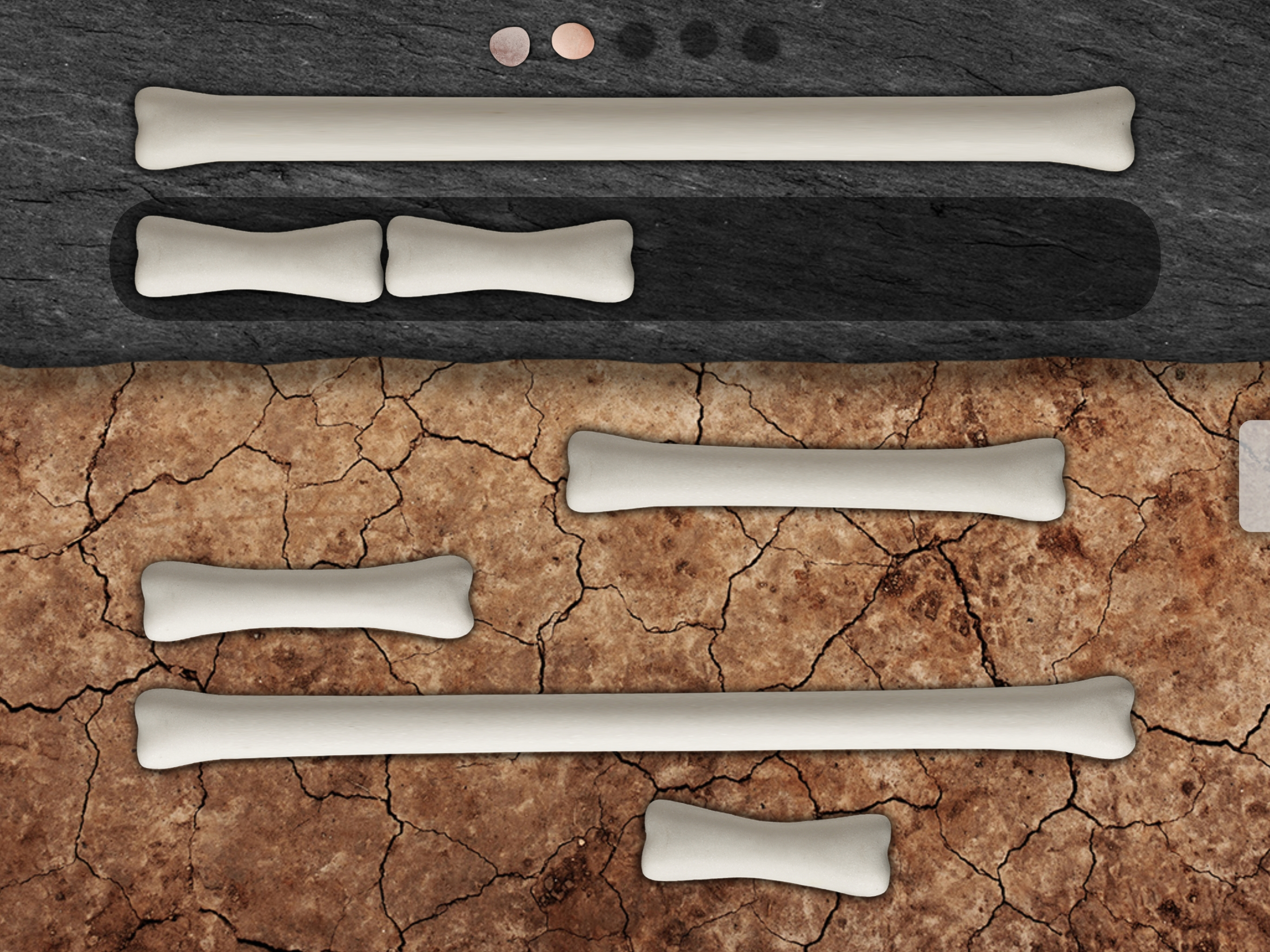 Match and Measure - UK screenshot 3