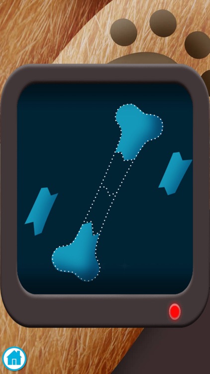 Pet Doctor - Animal Care screenshot-4