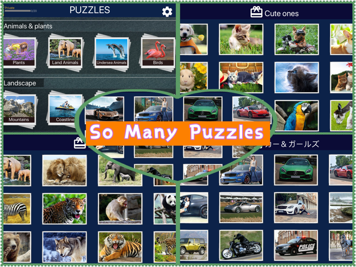 Jiasaw Puzzles Magic Game 2020