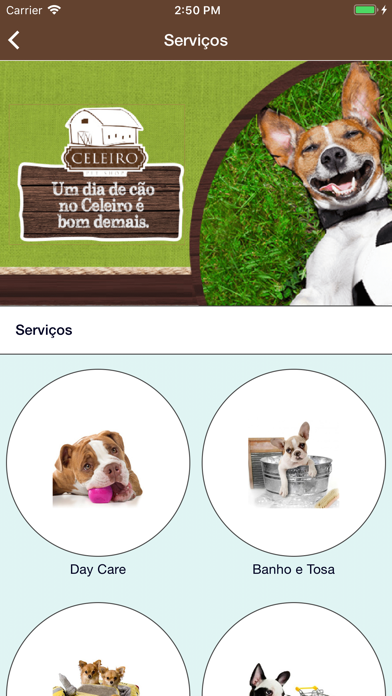 Celeiro pet shop screenshot 2