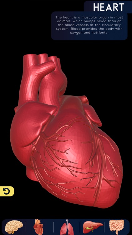 Multiple AR screenshot-3