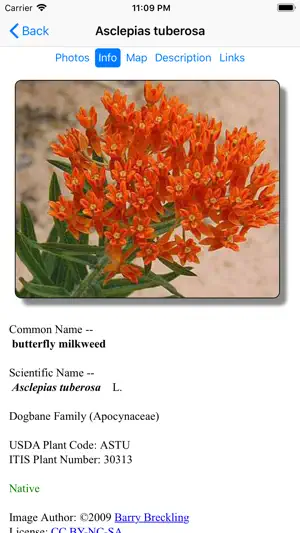 Mississippi Wildflowers screenshot 3