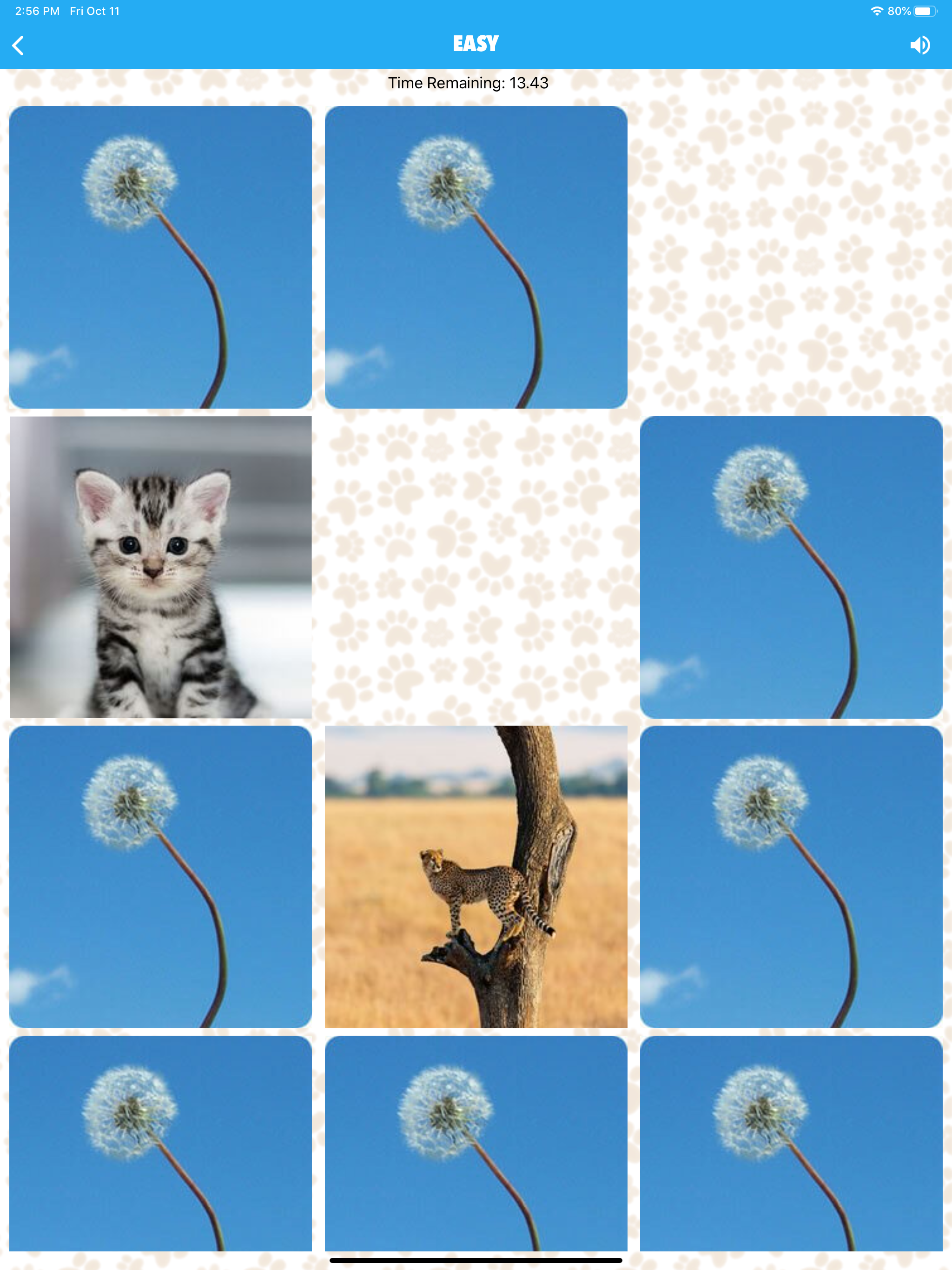 Animal Sounds for Kids Lite! screenshot 20