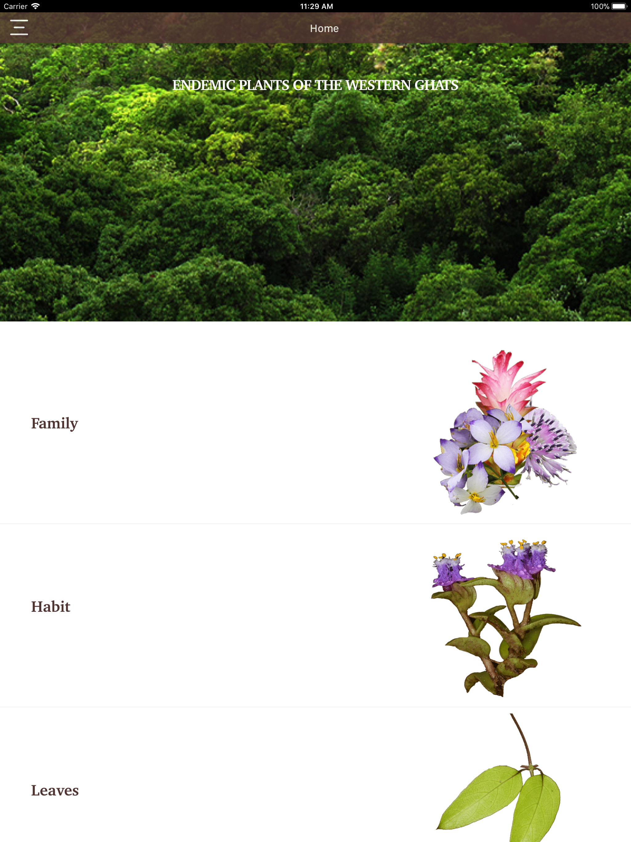 Endemic Plants screenshot 4